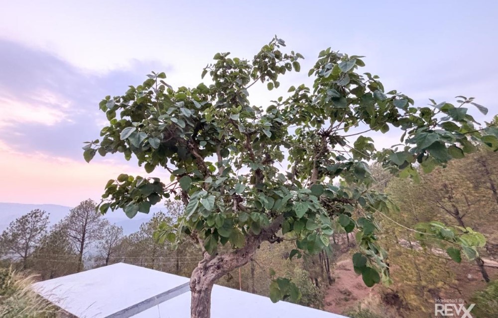 Anupraas Resort Gallery