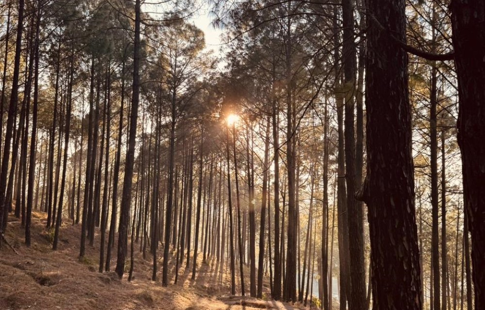 Anupraas Resort Gallery