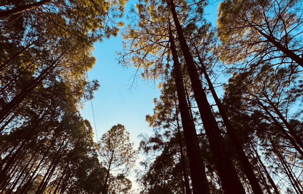 Anupraas Resort Gallery